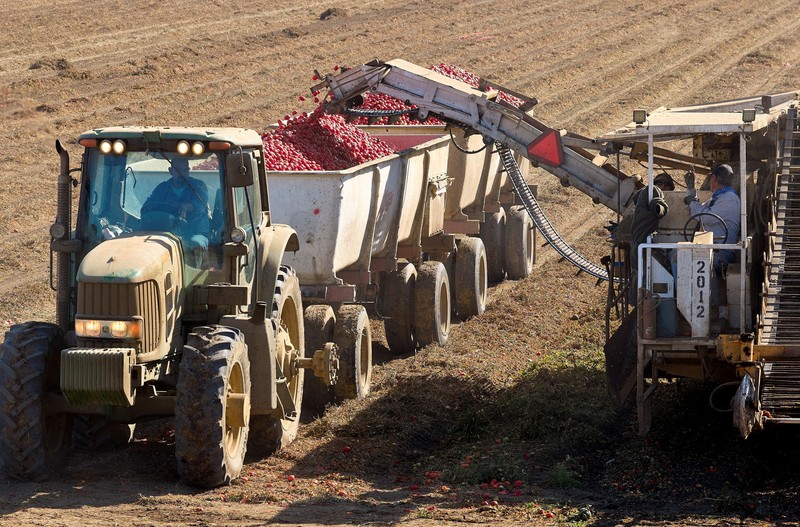 Seorang pengemudi mengoperasikan pompa diesel di tempat pemberhentian truk di Dunnigan, California, AS, pada 28 September 2026. (REUTERS/Fred Greaves)