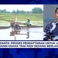 Petani Wajib Paham, Ini Syarat Klaim Kerusakan Lahan Akibat Kekeringan - Kebanjiran