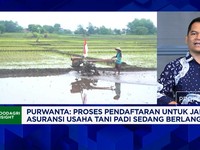 Petani Wajib Paham, Ini Syarat Klaim Kerusakan Lahan Akibat Kekeringan - Kebanjiran