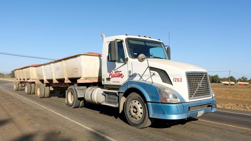 Sebuah truk yang penuh dengan tomat melaju meninggalkan lahan pertanian tempat tomat-tomat tersebut dipanen di dekat Davis, California, AS, pada 28 September 2026.
