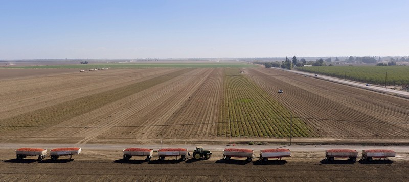Seorang pengemudi mengoperasikan pompa diesel di tempat pemberhentian truk di Dunnigan, California, AS, pada 28 September 2026. (REUTERS/Fred Greaves)