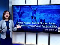 Trump Ancam Batasi Ekspor Solar, Indonesia Aman Punya Senjata B50