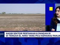 Kemarau Panjang Ancam Produksi & Harga Pangan, RI Wajib Waspada
