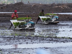 Ministry of Public Works Prepares 160,000 Cubic Meters of Water in Wanam Merauke