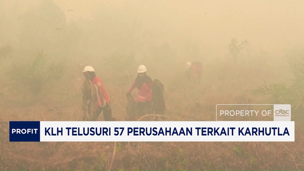 Video: KLH Telusuri 57 Perusahaan Terkait Karhutla