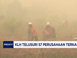 KLH Telusuri 57 Perusahaan Terkait Karhutla