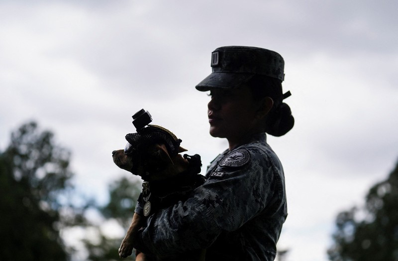 Seorang anggota Garda Nasional memakaikan helm pada Comando&mdash;seekor anjing Chihuahua yang diadopsi oleh Garda Nasional Meksiko dan telah menjadi salah satu sosok publik paling dikenal dari kesatuan tersebut berkat penampilannya dalam berbagai upacara serta acara masyarakat&mdash;di sebuah pangkalan militer di Mexico City, Meksiko, pada 29 September 2026. (REUTERS/Toya Sarno Jordan)