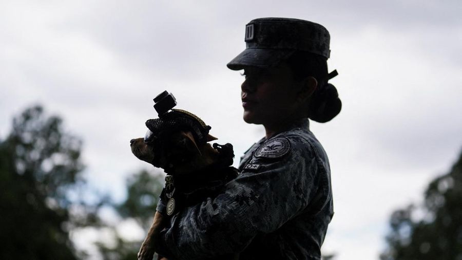 Letnan Garda Nasional Debora Jael Hernandez menggendong Comando, seekor anjing Chihuahua yang diadopsi oleh Garda Nasional Meksiko dan telah menjadi salah satu wajah publik paling dikenal dari kesatuan tersebut melalui kehadirannya dalam berbagai upacara serta acara komunitas, di sebuah pangkalan militer di Mexico City, Meksiko, pada 29 September 2026.