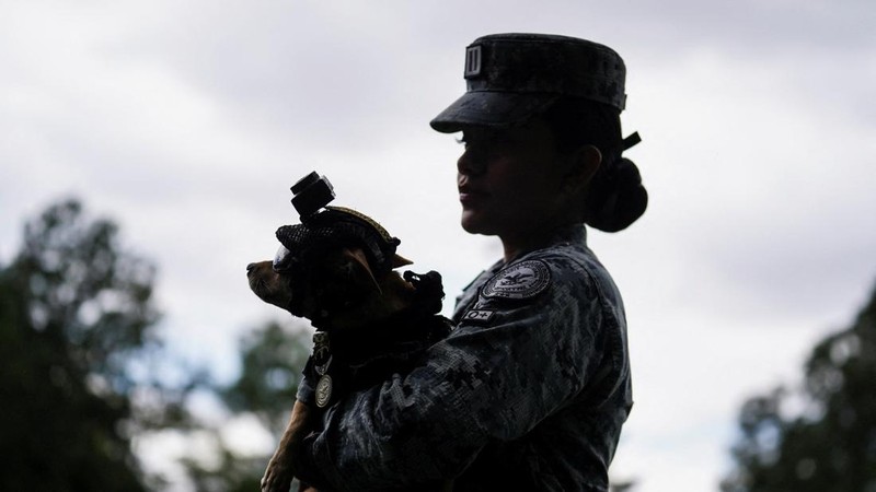 Letnan Garda Nasional Debora Jael Hernandez menggendong Comando, seekor anjing Chihuahua yang diadopsi oleh Garda Nasional Meksiko dan telah menjadi salah satu wajah publik paling dikenal dari kesatuan tersebut melalui kehadirannya dalam berbagai upacara serta acara komunitas, di sebuah pangkalan militer di Mexico City, Meksiko, pada 29 September 2026.