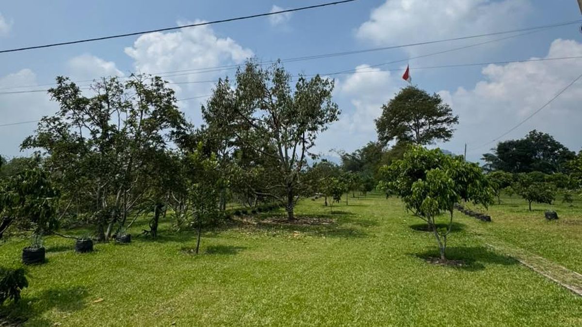 KPK Cek Glamping Durian Diduga Disamarkan Yayat Saksi Kasus Bupati Bekasi — NadiKabar.com