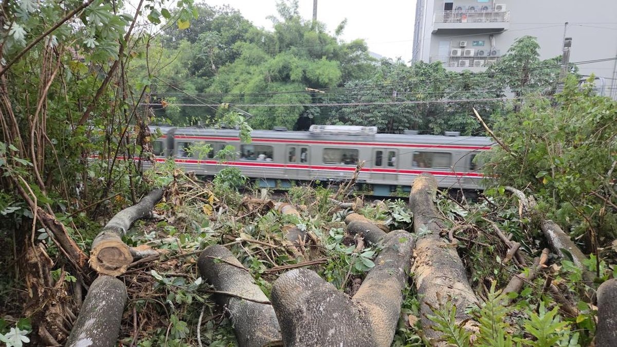 Anker Red Line Ngeluh Stuck 40 Menit gara-gara Pohon Tumbang di Depok — NadiKabar.com
