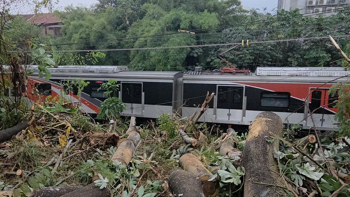 Pohon Tumbang di Antara UI-Pasming Dievakuasi, Perjalanan KRL Kembali Normal