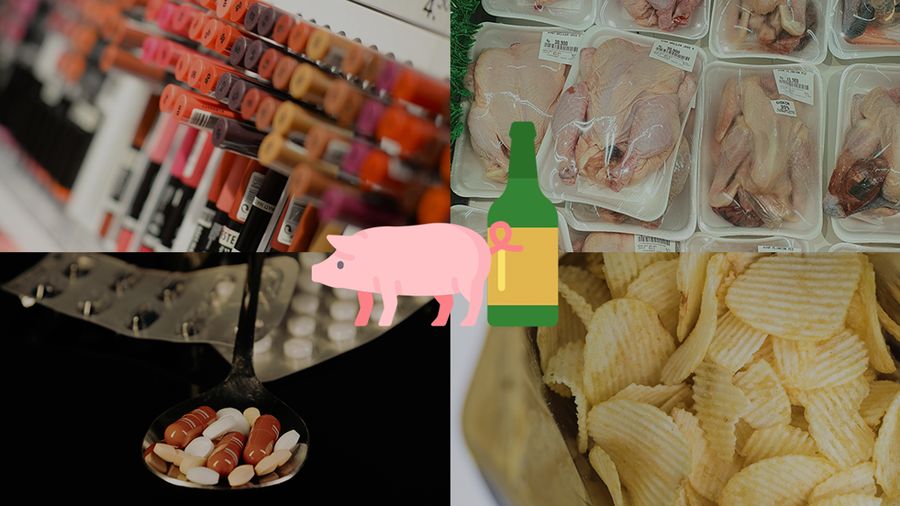 Produk Mengandung Babi dan Alkohol (Dok. Pexels)