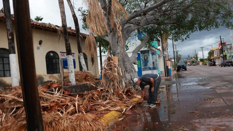 Seorang pria menyingkirkan ranting-ranting kering yang berserakan setelah Badai Polo menghantam daratan di Baja California Sur, Loreto, Meksiko, pada 29 September 2026.