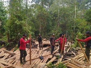 Petugas Temukan 316 Batang Kayu Olahan di TNBS Saat Padamkan Karhutla