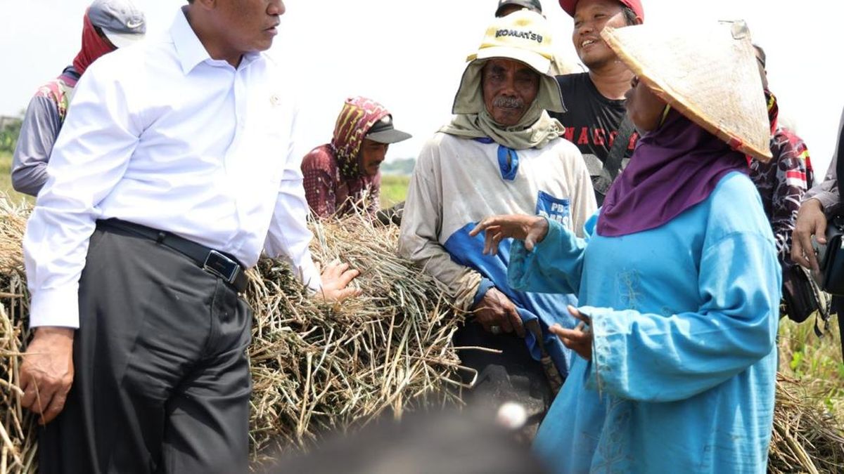 Nilai Tukar Petani Tembus 131,11, Naik 1,49 Persen di September 2026 — NadiKabar.com