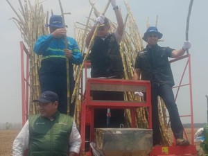 Usai Beras, Lamongan Kini Bidik Swasembada Gula