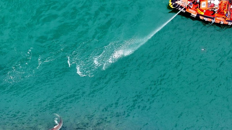 Petugas pemadam kebakaran mengarahkan seekor hiu yang terjebak di kanal sejak 18 September menuju laut lepas di Busan, Korea Selatan, pada 29 September 2026.