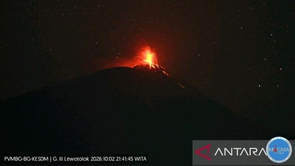 Gunung Ili Lewotolok Erupsi Malam Ini, Muntahkan Lava Sejauh 500 Meter — NadiKabar.com