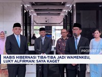 Habis Hibernasi Tiba-Tiba Jadi Wamenkeu, Luky Alfirman: Saya Kaget