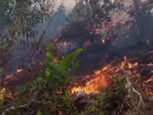 Karhutla Dekat Wisata Alam Kali Biru Polman, Api Belum Padam