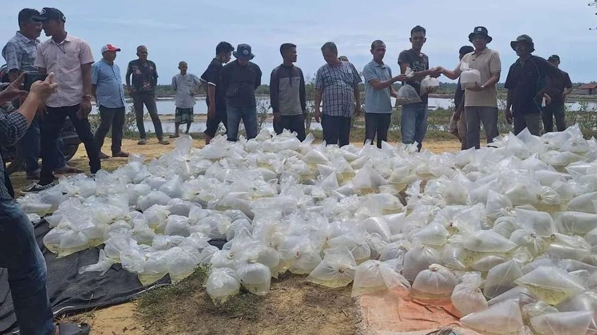 1.835 Hektare Tambak di 3 Provinsi Mulai Dipulihkan Usai Bencana — NadiKabar.com