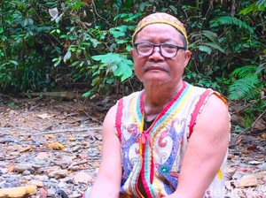 Filosofi Hutan bagi Dayak Punan Long Adiu: Bagai Air Susu Ibu