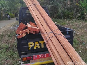 2 Orang Jadi Tersangka Illegal Logging Hutan Lindung di Jembrana
