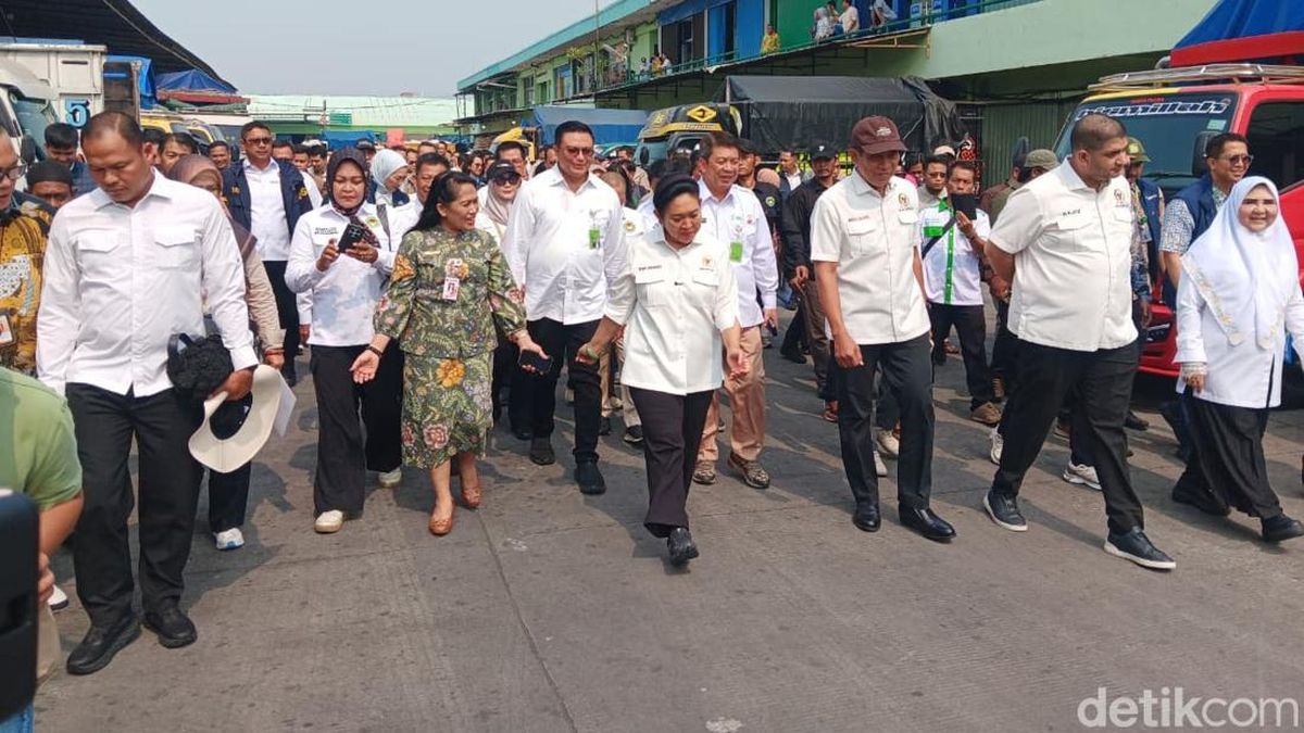 Harga Beras di Pasar Cipinang Turun Imbas Bansos Pangan 30 Kg untuk Desil 1-4 — NadiKabar.com