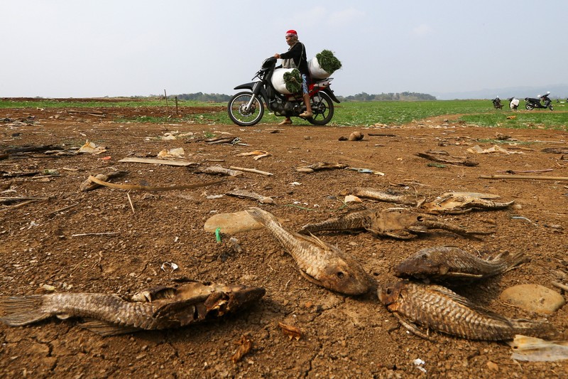 Warga melintas di dekat reruntuhan yang kembali muncul seiring surutnya permukaan air Waduk Jatigede akibat kekeringan di musim kemarau di Kabupaten Sumedang, Jawa Barat, Indonesia, Kamis (1/10/2026). (REUTERS/Claudio Pramana)