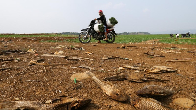 Warga melintas di dekat reruntuhan yang kembali muncul seiring surutnya permukaan air Waduk Jatigede akibat kekeringan di musim kemarau di Kabupaten Sumedang, Jawa Barat, Indonesia, Kamis (1/10/2026). (REUTERS/Claudio Pramana)