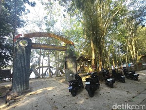 Gulma Bikin Wisata Air Enggak Seru, Pengunjung Bamboe Wanadesa Turun 50%