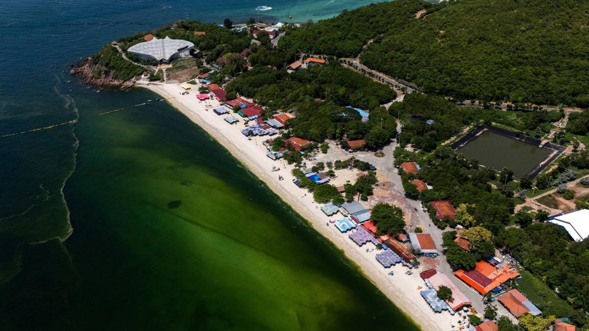 Ilustrasi berita Nasional: Air Laut di Koh Lan Thailand Menghijau Akibat Plankton