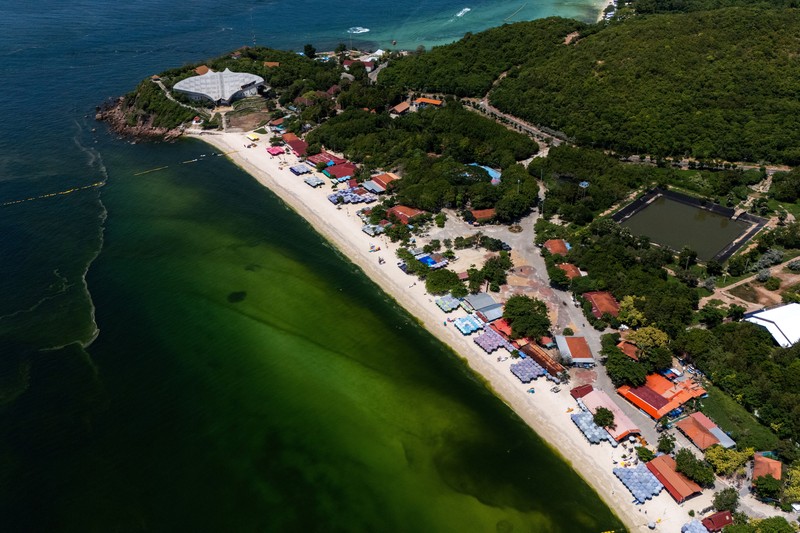 Air laut di wilayah lepas pantai timur Thailand menjadi hijau pekat, Kamis (1/10/2026). Fenomena ini terjadi di Pesisir Chonburi yang terkenal dengan peternakan kerang. (REUTERS/Athit Perawongmetha)