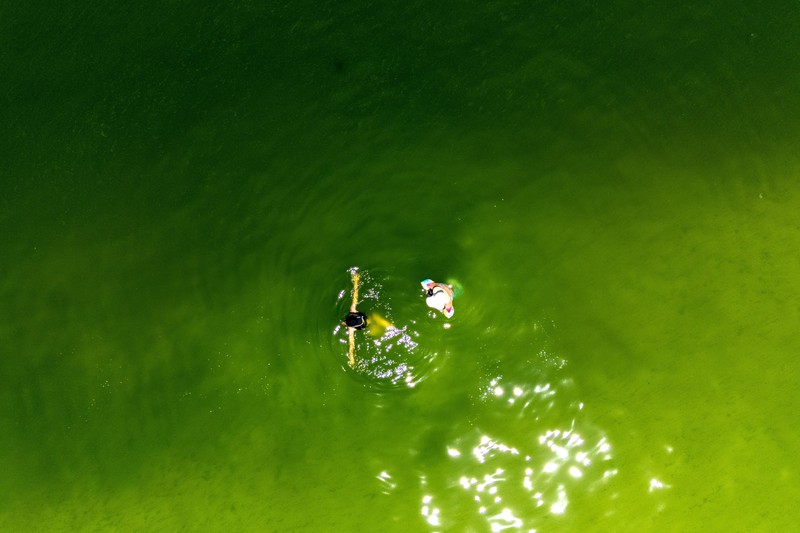 Air laut di wilayah lepas pantai timur Thailand menjadi hijau pekat, Kamis (1/10/2026). Fenomena ini terjadi di Pesisir Chonburi yang terkenal dengan peternakan kerang. (REUTERS/Athit Perawongmetha)
