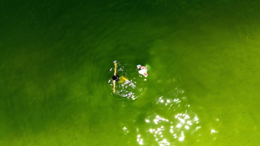 Air laut di wilayah lepas pantai timur Thailand menjadi hijau pekat, Kamis (1/10/2026). Fenomena ini terjadi di Pesisir Chonburi yang terkenal dengan peternakan kerang. (REUTERS/Athit Perawongmetha)