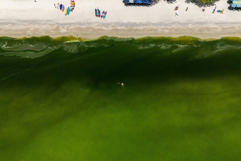 Air laut di wilayah lepas pantai timur Thailand menjadi hijau pekat, Kamis (1/10/2026). Fenomena ini terjadi di Pesisir Chonburi yang terkenal dengan peternakan kerang. (REUTERS/Athit Perawongmetha)