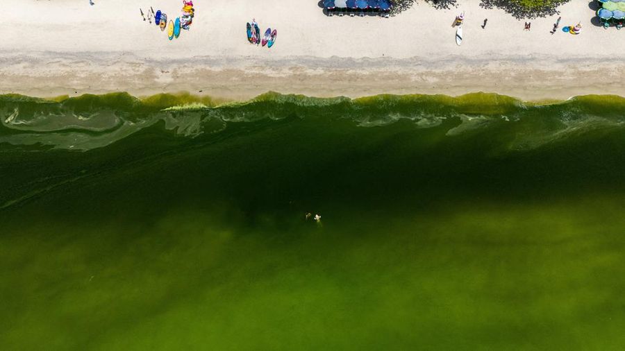 Air laut di wilayah lepas pantai timur Thailand menjadi hijau pekat, Kamis (1/10/2026). Fenomena ini terjadi di Pesisir Chonburi yang terkenal dengan peternakan kerang. (REUTERS/Athit Perawongmetha)