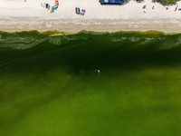 Air laut di wilayah lepas pantai timur Thailand menjadi hijau pekat, Kamis (1/10/2026). Fenomena ini terjadi di Pesisir Chonburi yang terkenal dengan peternakan kerang. (REUTERS/Athit Perawongmetha)
