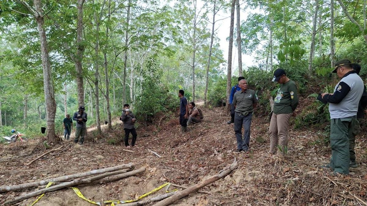 Anak Gajah di Jambi Ditemukan Mati, Gakkum Selidiki Penyebabnya — NadiKabar.com
