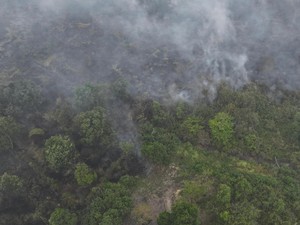 Karhutla Sumsel Belum Padam, Ratusan Hektare Lahan Masih Terbakar