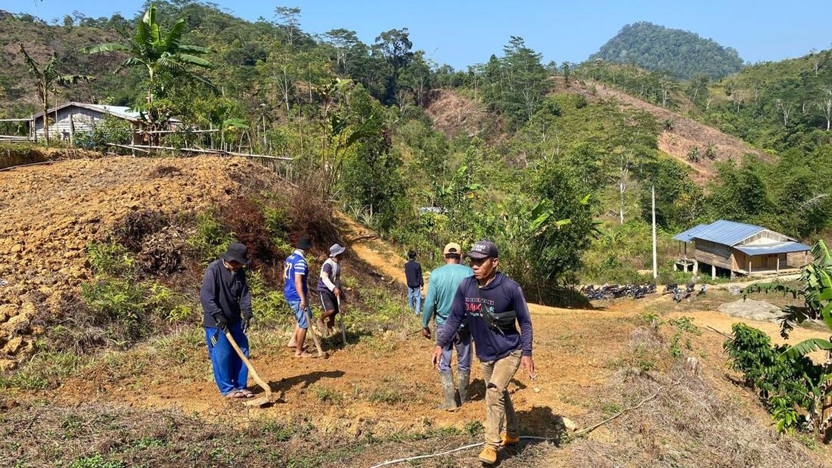 TEP UB Perbaiki Jembatan Lapuk demi Buka Akses Petani Kopi Mamasa — NadiKabar.com