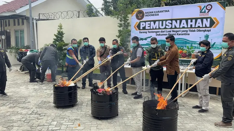 Bakso, sosis, telur, buah-buahan, hingga berbagai jenis benih yang dibawa melalui penerbangan internasional dimusnahkan Balai Karantina Hewan, Ikan, dan Tumbuhan (Karantina) Lampung, Jumat (2/10). (Dok.karantinaindonesia.go.id)