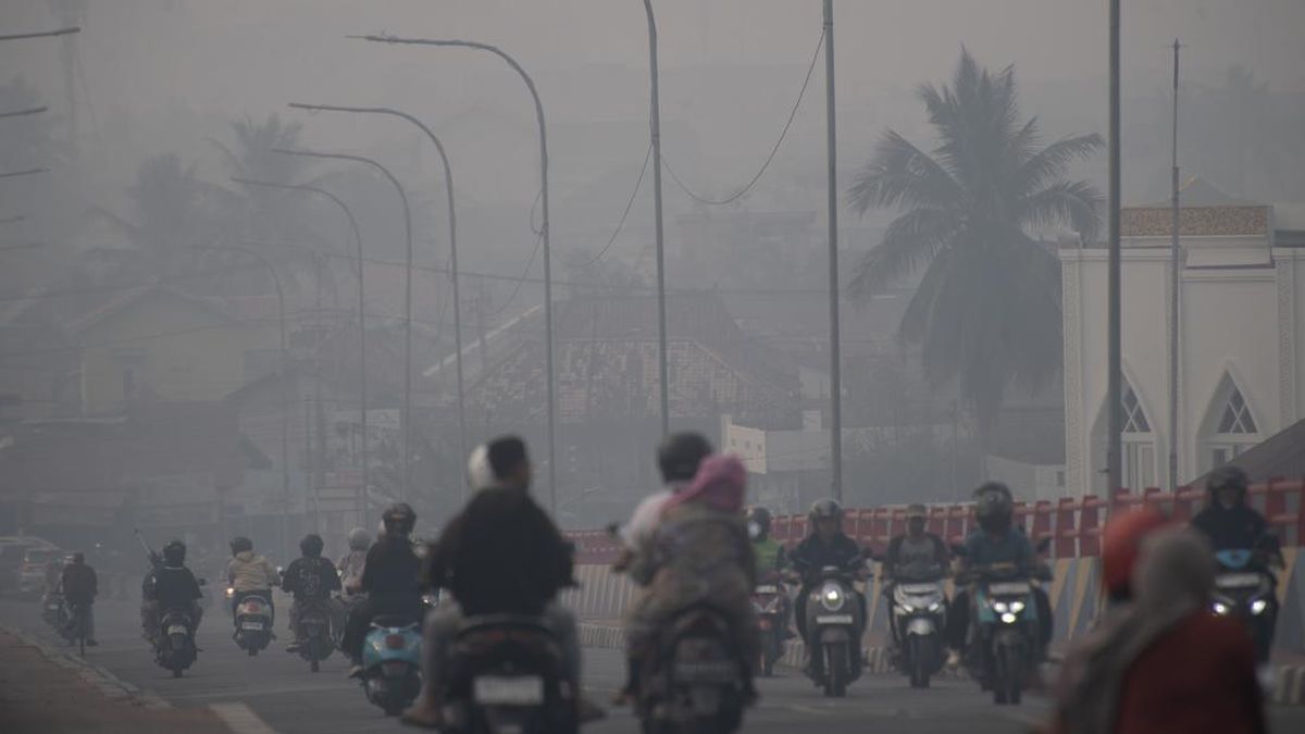 Derita Warga Sesak Napas hingga Mata Perih Dampak Kabut Asap di Palembang — NadiKabar.com