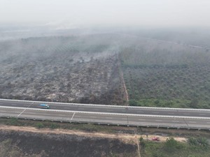 BPBD Deteksi 579 Hotspot Karhutla di Sumsel, OKI Terbanyak