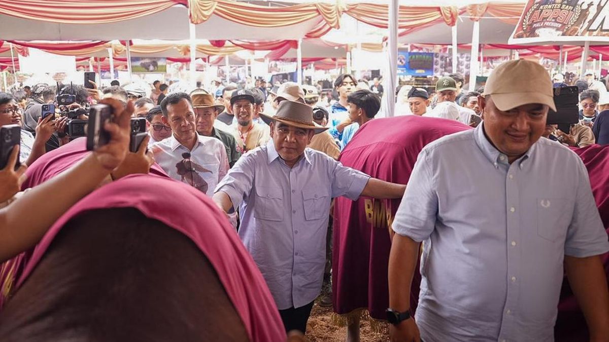 Hadiri Kontes Sapi APPSI, Muzani: Ini Upaya Dukung Swasembada Pangan — NadiKabar.com