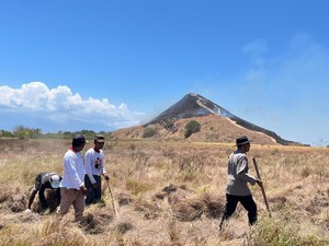 Kebakaran Sabana Pulau Kenawa Capai 5 Ha, Diduga Dipicu Puntung Rokok