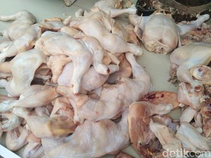 Harga Daging Ayam di Badung Capai Rp 47 Ribu per Kg