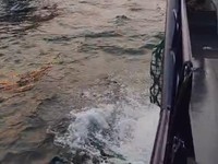 Kementerian Kelautan dan Perikanan mengamankan KM Maulana 23, terkait dugaan penganiayaan awak kapal perikanan yang viral di media sosial, Senin (5/20/2026). Kapal ikan tersebut diamankan tim patroli Ditjen Pengawasan Sumber Daya Kelautan dan Perikan