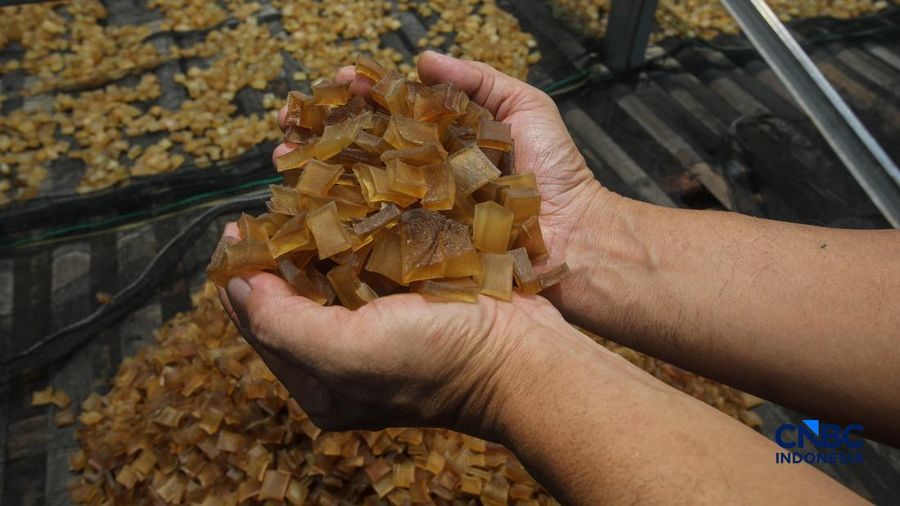 Pembuatan kerupuk kulit di rumah produksi Cap Tiga Bintang, Pancoran, Jakarta Selatan, Senin (5/10/2026).